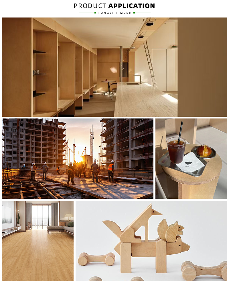 Birch Plywood Application